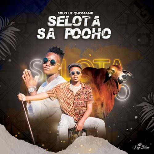 milo-ke-rata-monate-500×500